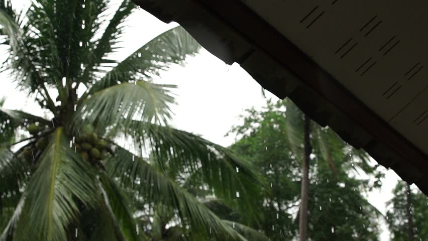 Roof of the forest house under a strong rain shower in the mountains. Slow motion - Powered by Shutterstock - Get 15% off with code: PIKWIZARD15