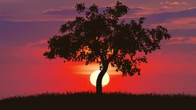 4 in 1 video! The tree against the background of sunset. Real time capture. Wide angle