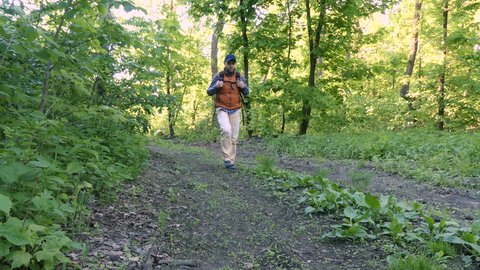 Man, tourist, man with backpack, man's back, walking ,backpacker is walking by footpath in the forest, green bushes, green trees, outdoors, summer, autunm, fall