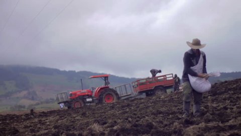 BOYACÃ�, COLOMBIA, CIRCA 2014: Farmer spreading seeds across potato field background red tractor 