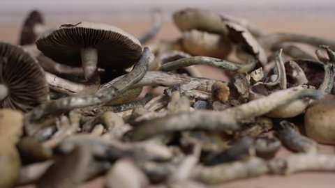 Psychedelic Drugs - Magic Mushrooms - big pile of shrooms