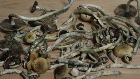 Psychedelic Drugs - Magic Mushrooms