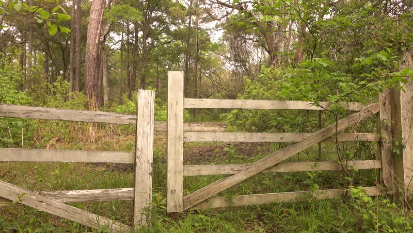 Old fence leading to an old abandoned road.  The dirt road is overgrown with grass and so is the old fence. 