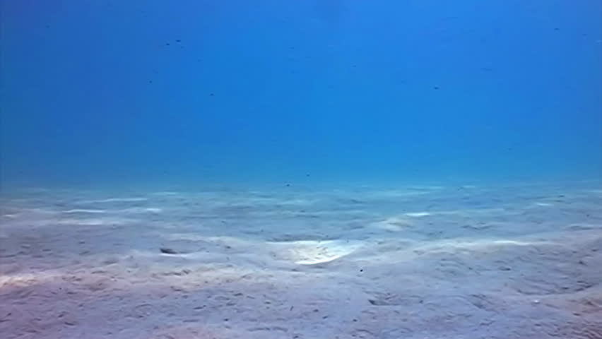 Underwater View Of The Beach Stock Footage Video (100% Royalty-free 