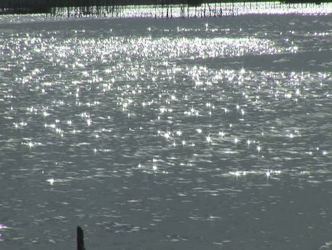 Sun Shimmering on the Lagoon in Brazil Close up of Water