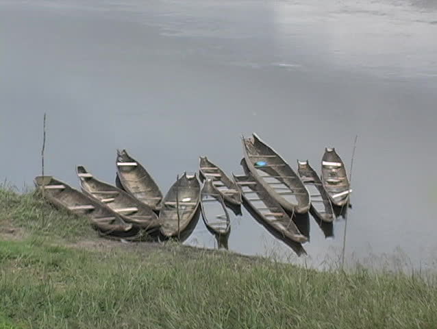 A group of empty native Dugout canoes sit in a river in Guyana