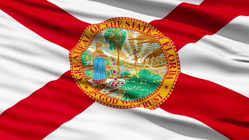 Waving Flag Of The US State of Florida with a red saltire and official seal.