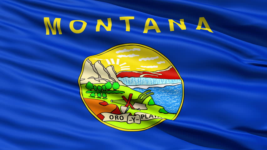 Waving Flag Of The US State of Montana with the official seal containing the