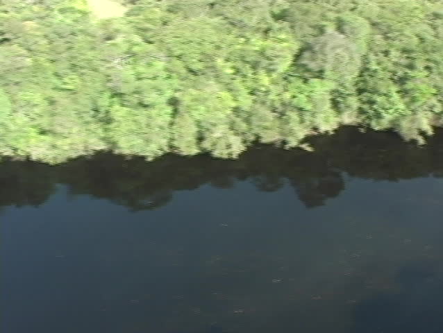 Aerial view over jungle and river