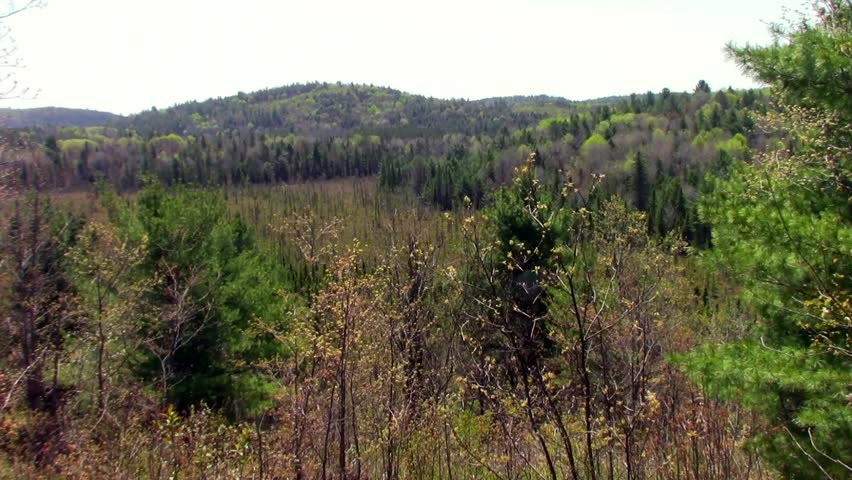 Algonquin Park, - Ontario, Canada