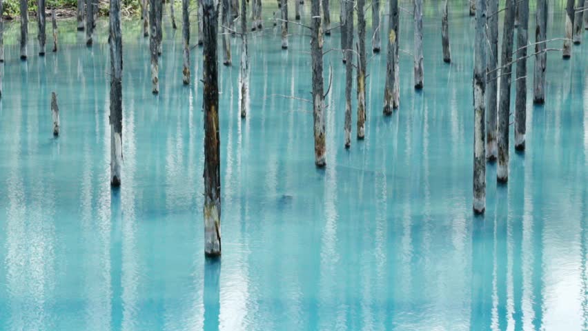 Blue pond (Aoiike Biei Hokkaido japan)