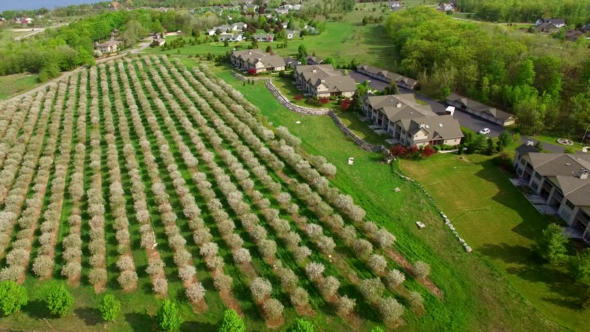 Aerial view of Scenic Egg Harbor Wisconsin, cherry trees blossoming.
