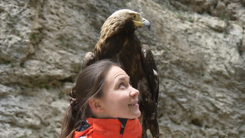 Eagle and girl look at each other