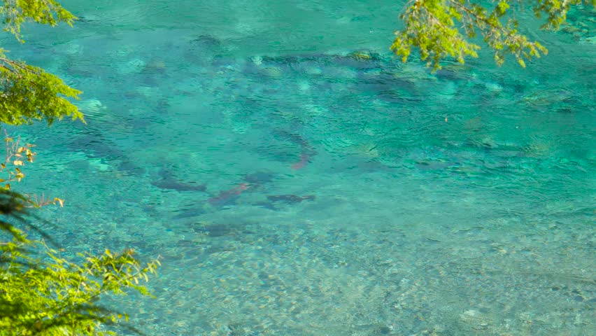 Crystal Clear Water In A Stock Footage Video 100 Royalty Free 1660 Shutterstock