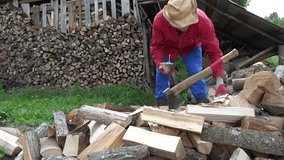 worker man gather to the arms chopped firewood in country yard. 4K UHD video clip.