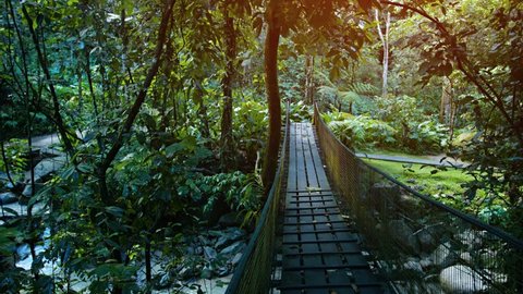 Whitewater flows beneath a wooden pedestrian bridge at a popular. jungle nature park in Borneo. Malaysia. with sound.