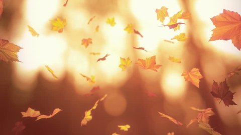 Autumn spinning backgrounds - loopable animation