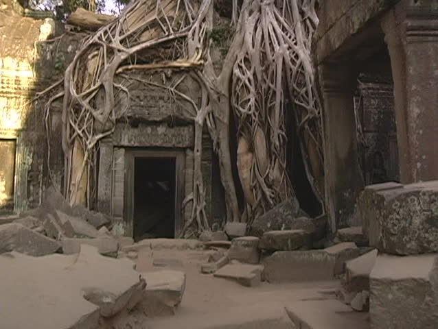 Angkor Wat temple ruins in Cambodia - tree growing out of ruins