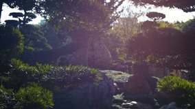 Beautiful. ornate gardens of Chi Lin Nunnery. an important Buddhist site in Hong Kong. in the hazy. early morning light. 1080p footage