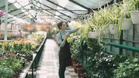 Woman gardener squirting flowers in greenhouse
