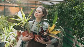 Happy woman gardener walking with plants in greenhouse
