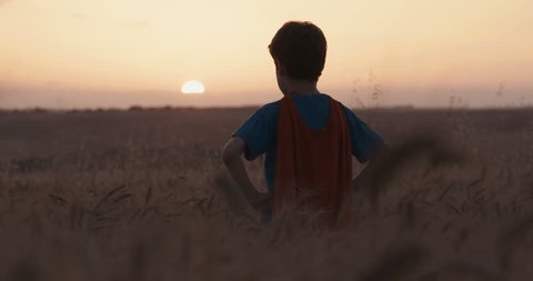 Young boy stands in a golden field during sunset - raising his hands in victory : vidéo de stock