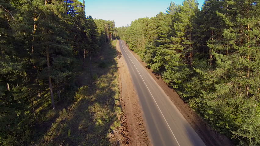 cars on the road in the forest, aerial view