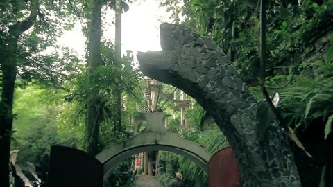 Jungle of Xilitla in West Mexico