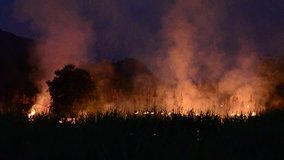 Night movie of a flaming farmland