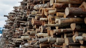 Felled tree, lumber production, raw materials