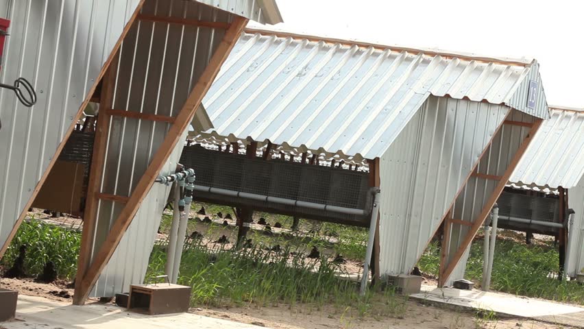 building for growing minks, exterior