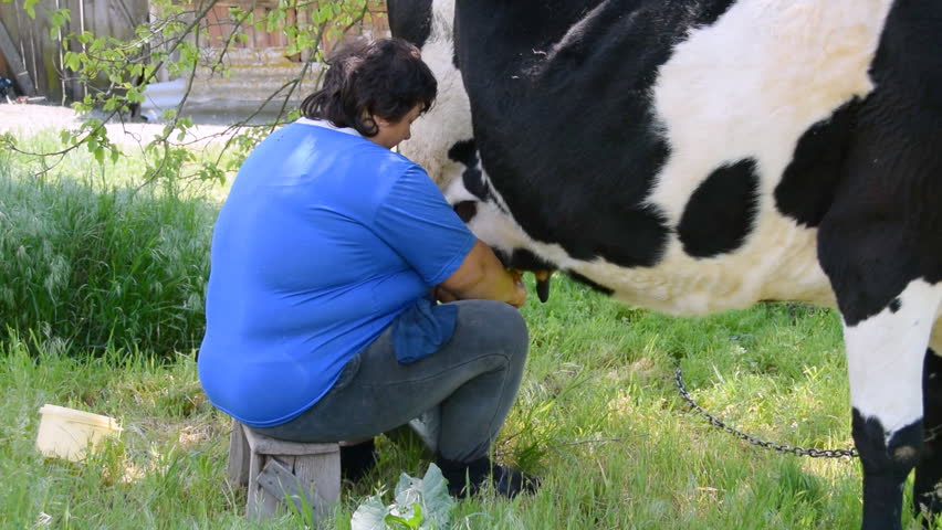 Woman Milked Like A Cow