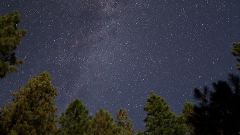 Starlapse with trees