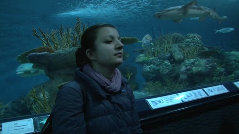 Crane shoot Girl looking on sea fishes in huge aquarium 