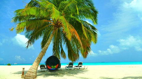 Chairs Umbrella Palm Beach Tropical Holiday Stock Photo (Edit Now ...