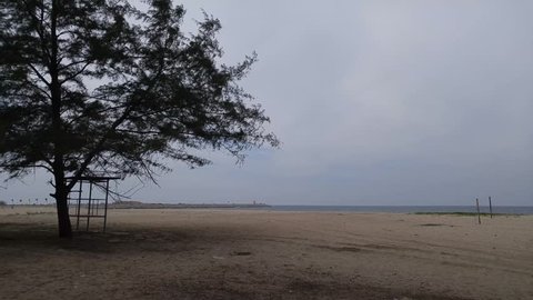 shady tree on a beach. tree positioned at the left side of the frame. text and copy space on the right. cloudy weather. 
