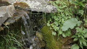 Water source slow motion hidden in green natural environment close-up 1080p HD footage - Flowing live water from stone fountain relaxing scene slow-mo 1920X1080 FullHD video