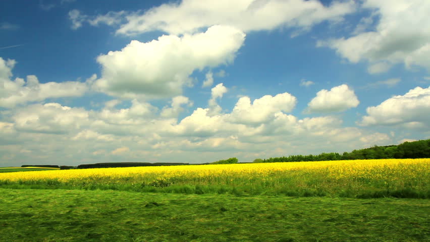  Panorama of northern Luxembourg with a rapeseed field.