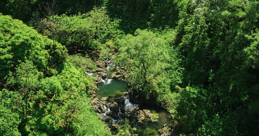 Aerial view flying over amazing waterfall pool in tropical rain forest jungle | Shutterstock HD Video #16941085