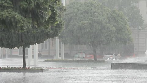 Heavy Rain, a Downpour in the City Park