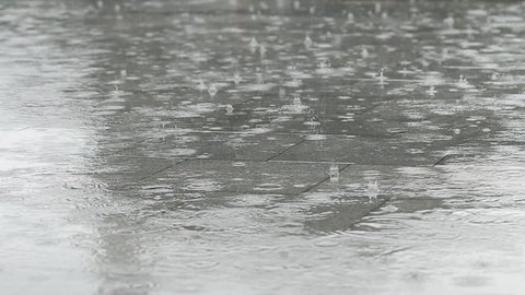 Heavy Tropical Rain on Concrete  Heavy rain, a downpour in the city park