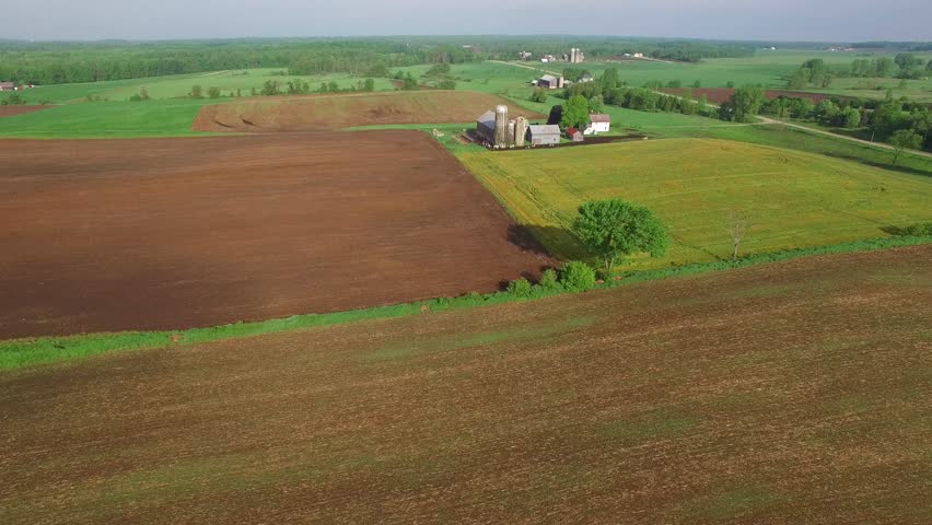 Family farms with happy cows amid springtime in rural Wisconsin, aerial view.