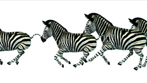 4k Group horses donkeys zebras animals silhouette migration running,Africa grasslands nature background. 4632_4k