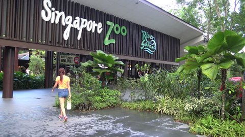 , Singapore-12 April, 2015: 4k, People visitors in the entrance to Singapore Zoo. There are about 315 species of animal in the zoo attracts-Dan