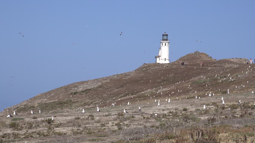 Lighthouse in Anacapa island, Channel islands national park, California.