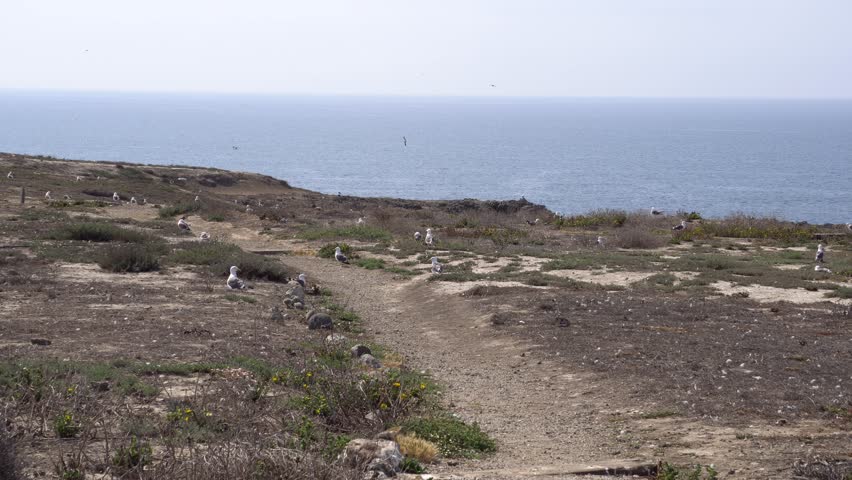 Anacapa island in Channel islands national park, California.