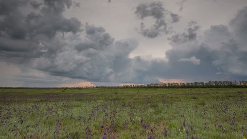 Russia, timelapse. The movement of the thunderclouds over the fields of winter wheat in early spring in the vast steppes of the Don.