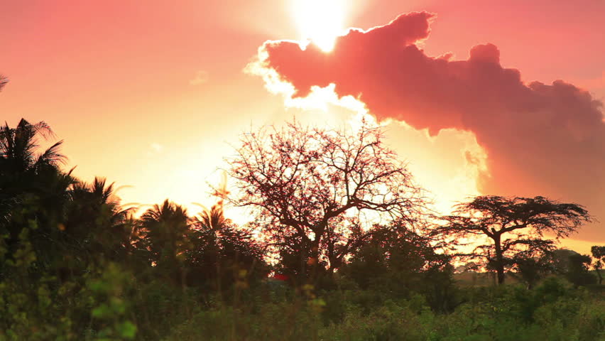 Pink morning clouds.