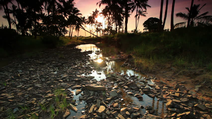 Rocky stream with background of trees under African sunset