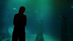 Woman near a huge aquarium. Video UltraHD 4k